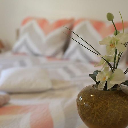 Apartment Palma Bibinje Dış mekan fotoğraf