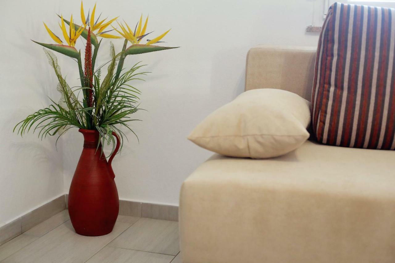 Apartment Palma Bibinje Dış mekan fotoğraf